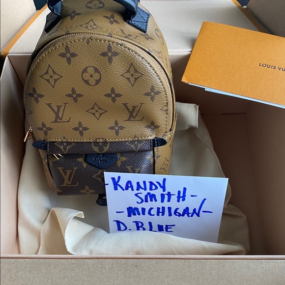 Louis Vuitton Handbags - Louis Vuitton Palm Springs Mini Reverse